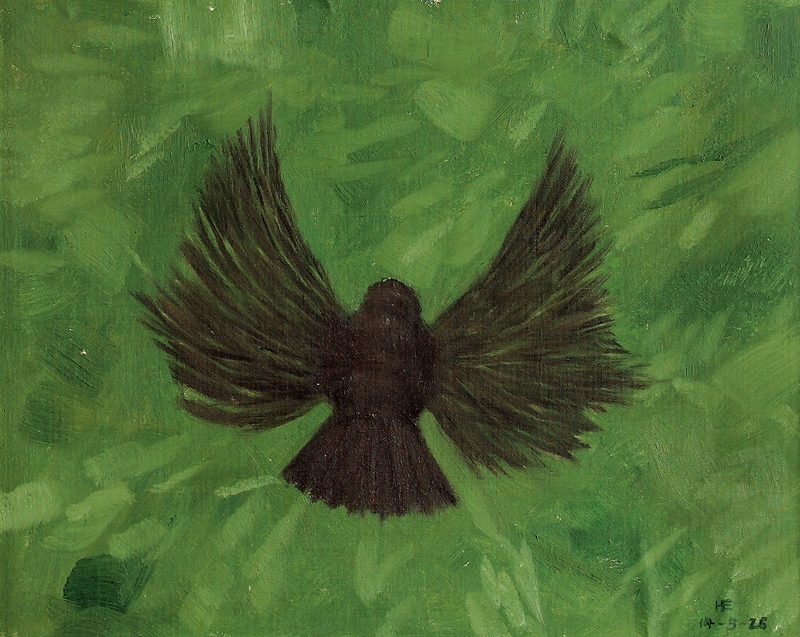 «Amsel im Flug» – 1926 – Hans Emmenegger